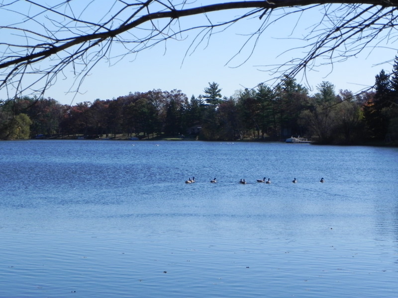 INDIANWOOD LAKE ORION TOWNSHIP MICH